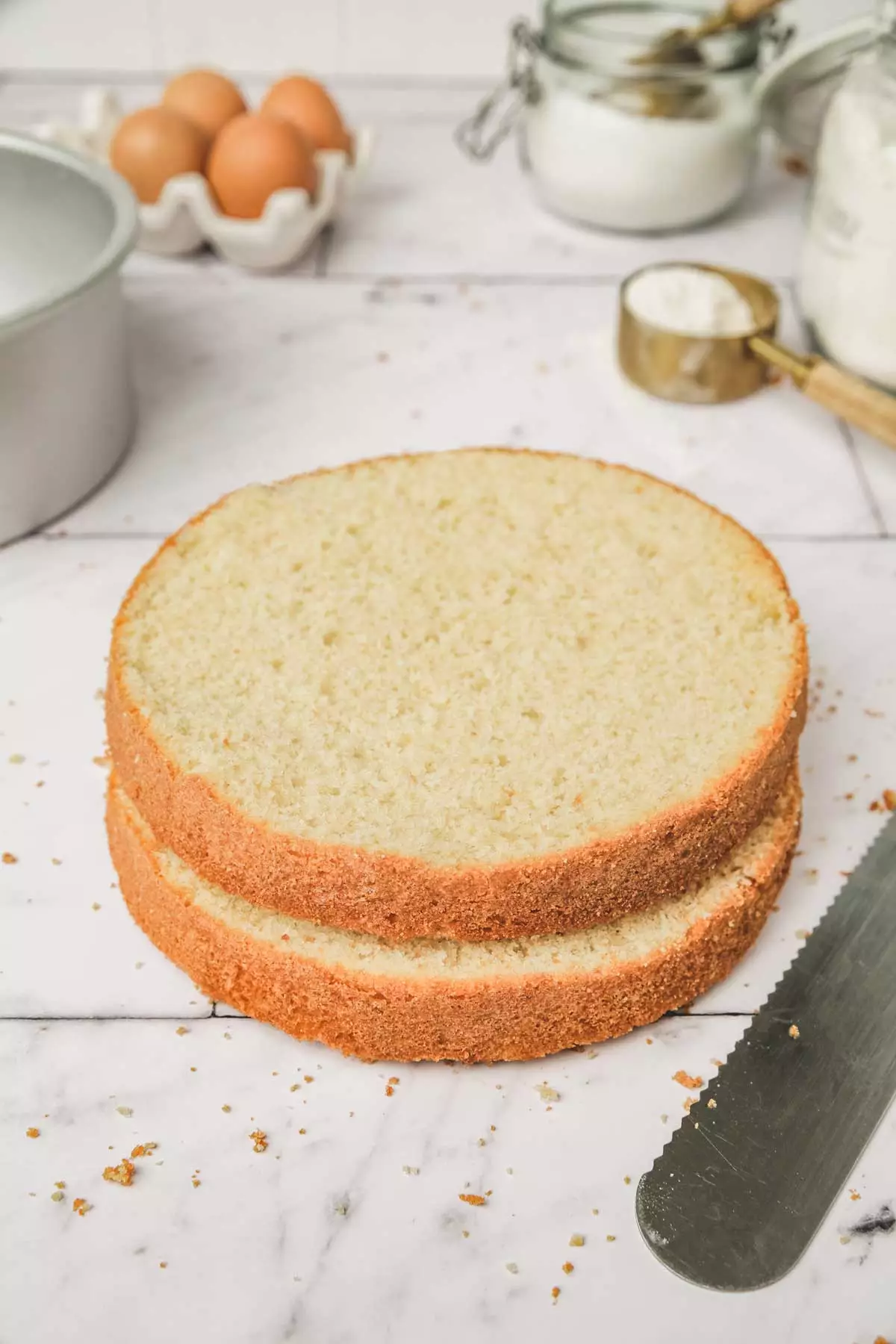 layer of sponge cake