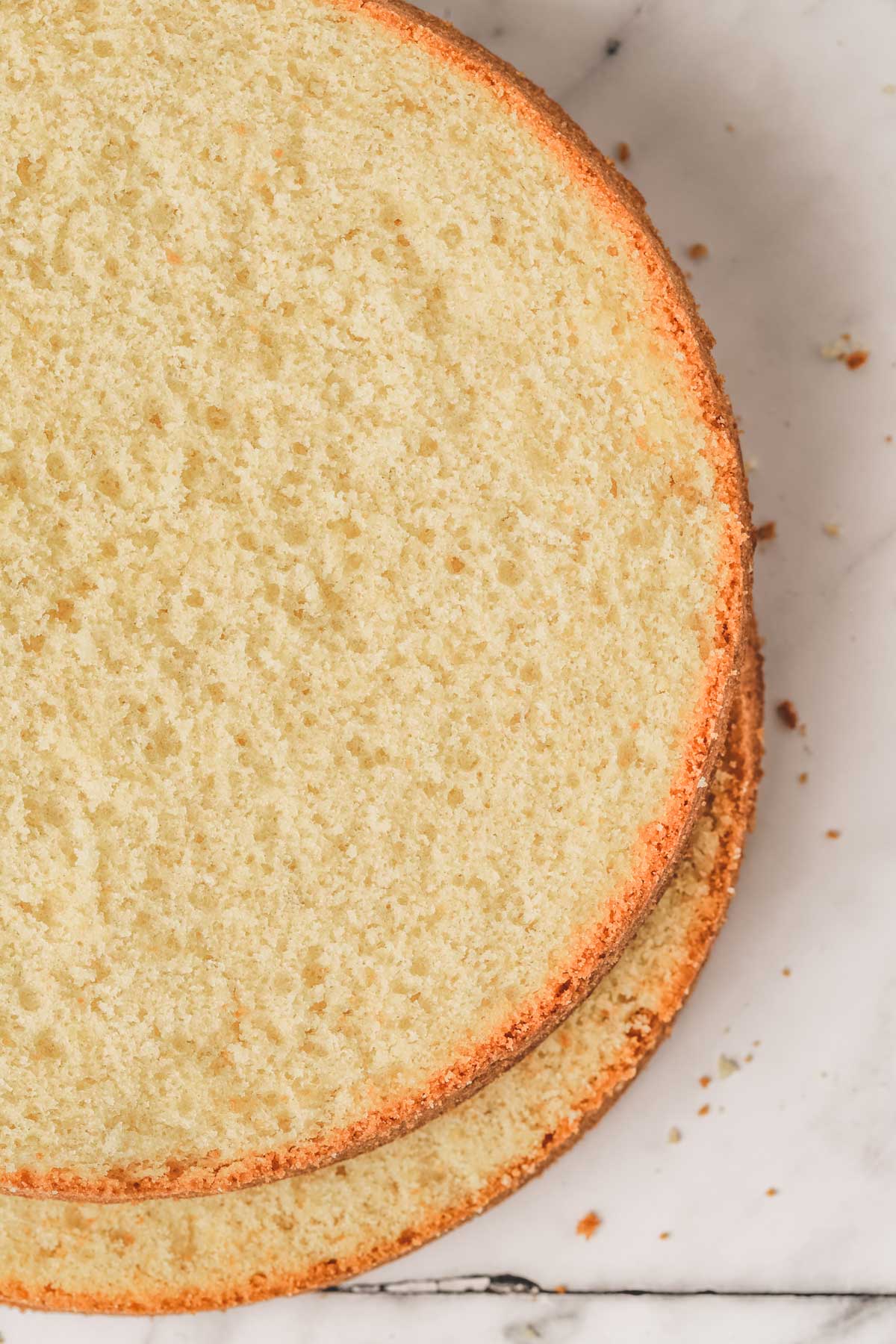 layer of vanilla sponge cake