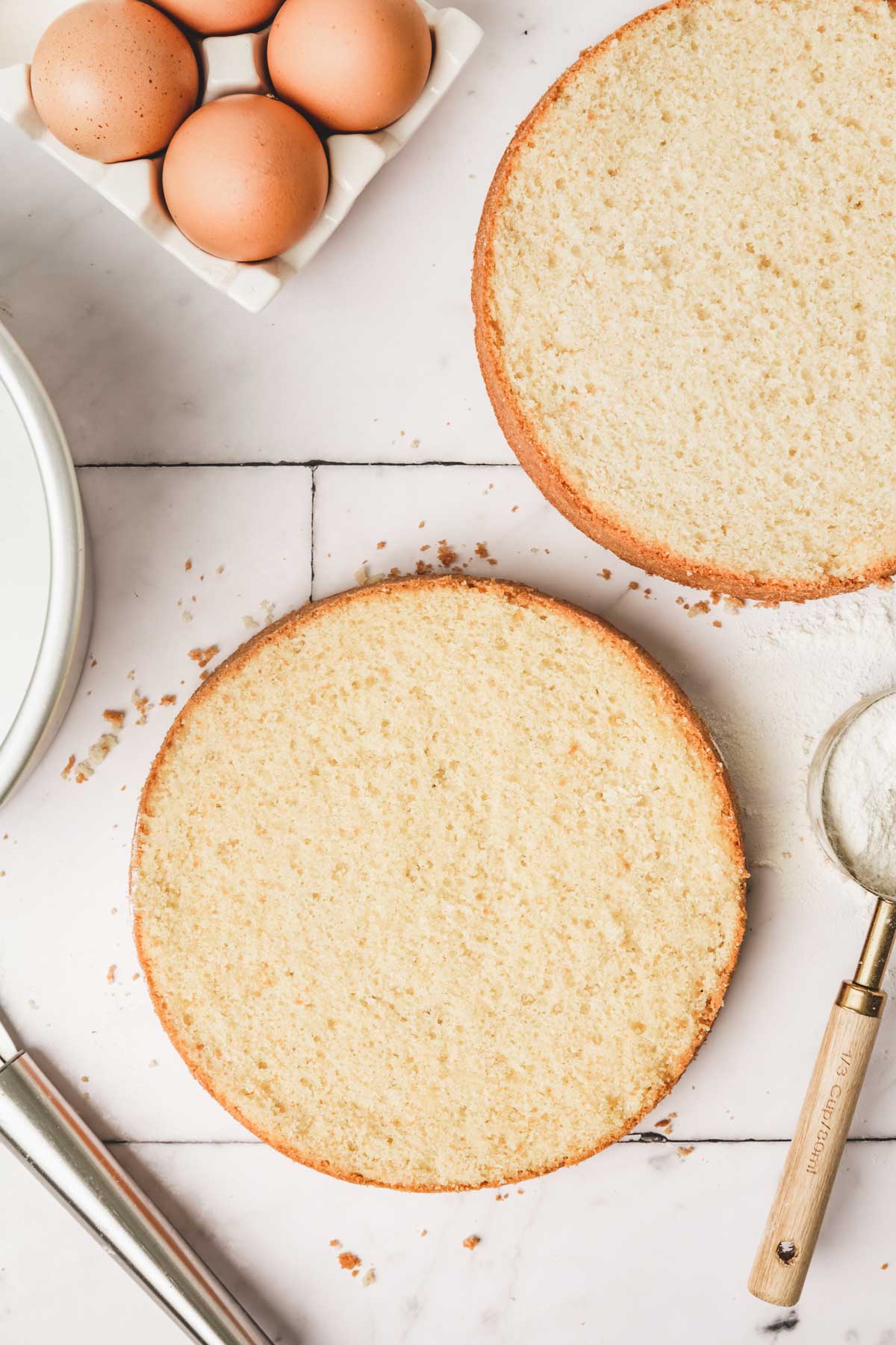 vanilla sponge cake layer