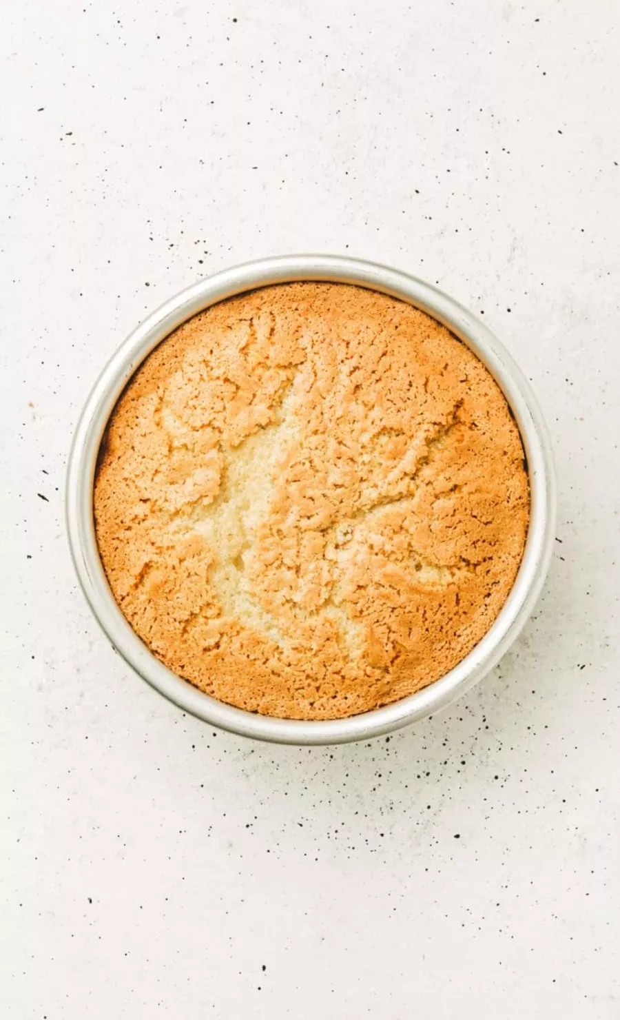 moule avec une génoise molly cake cuite