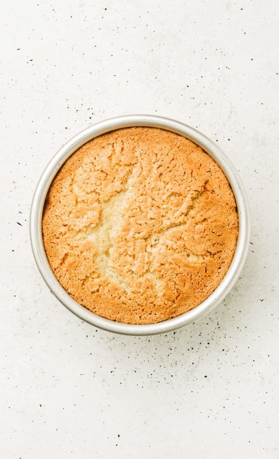 moule avec génoise cuite