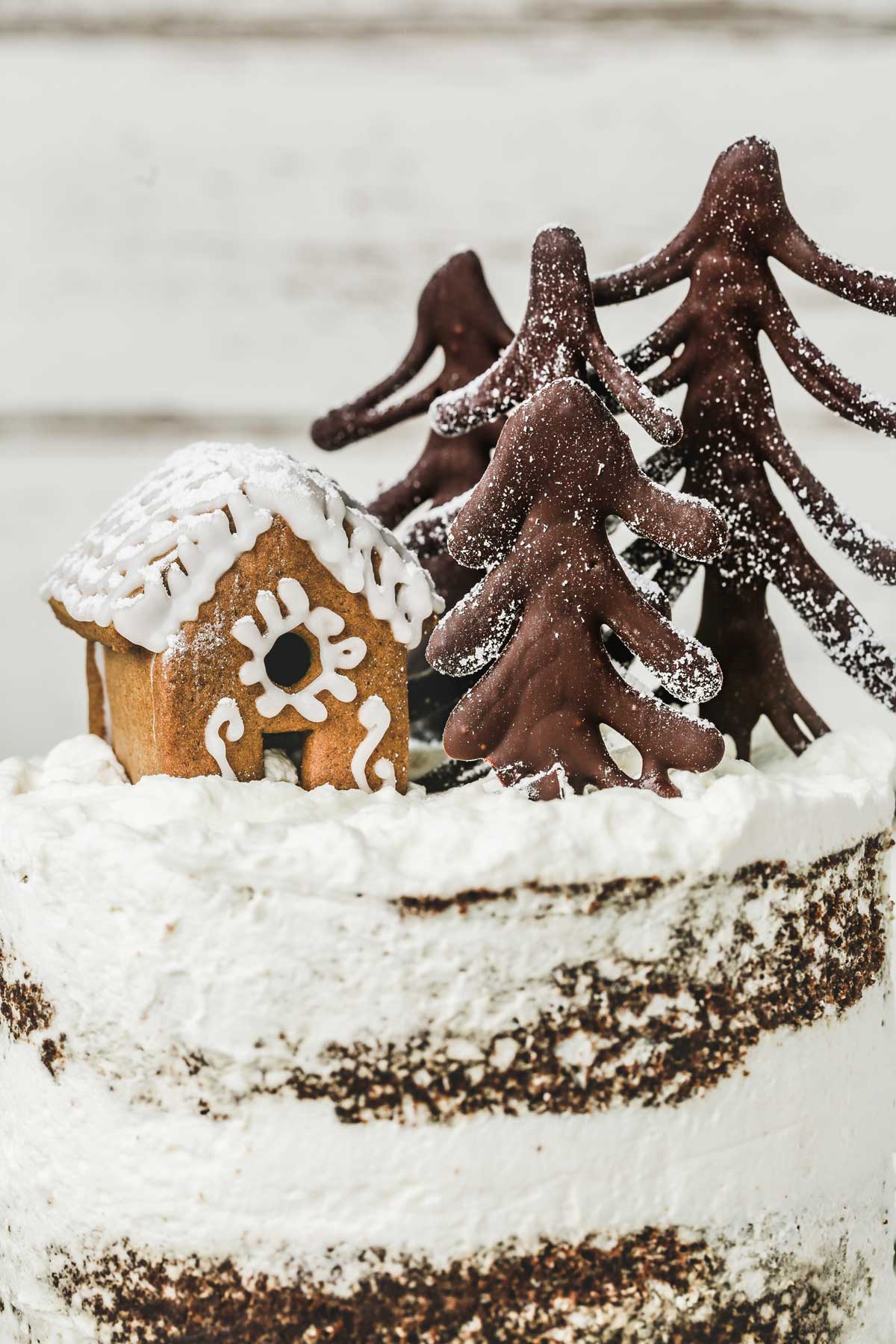 gingerbread cake with mini gingerbread house