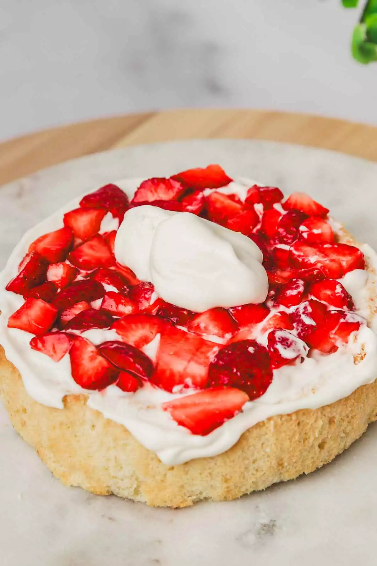 cake layer with strawberry and cream