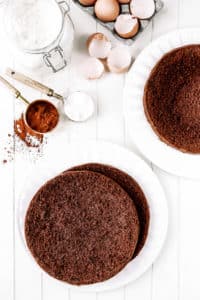 Chocolate sponge cake recipe