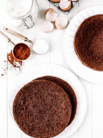 Chocolate sponge cake recipe