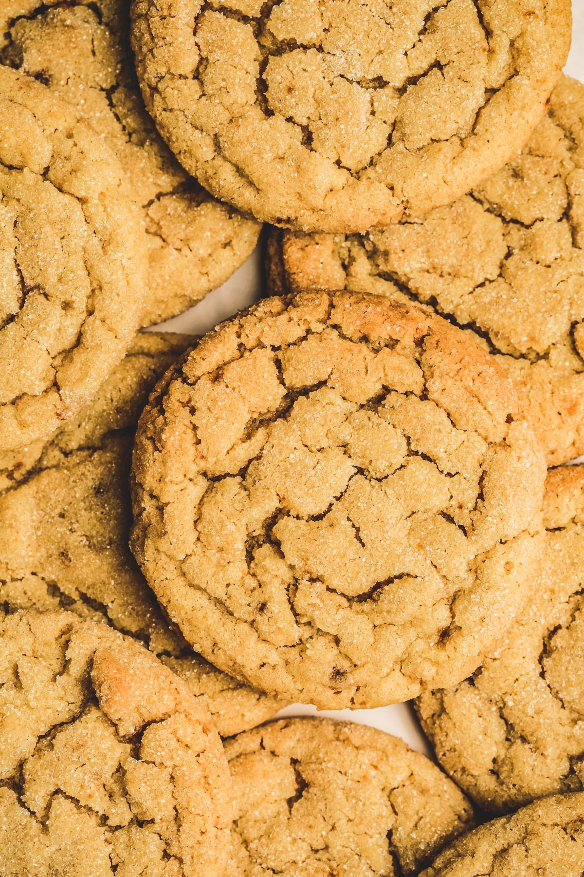 brown butter sugar cookies on a work surface