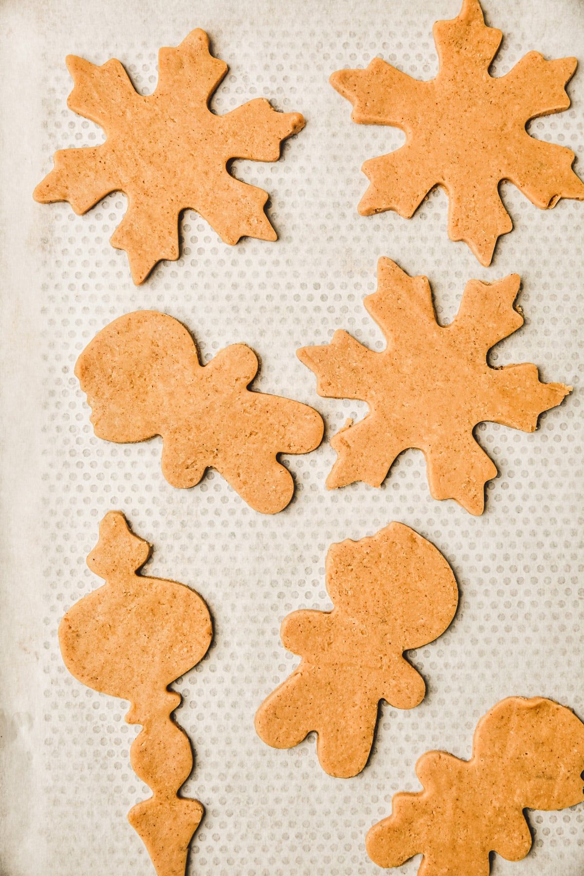 biscuits gingerbread avant cuisson sur une plaque