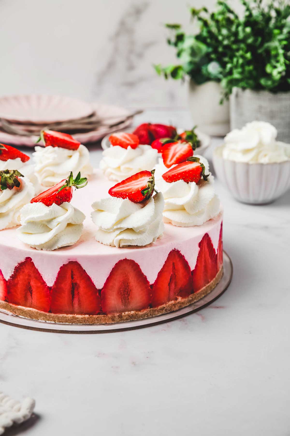 No-bake strawberry cheesecake with whipped cream and strawberries