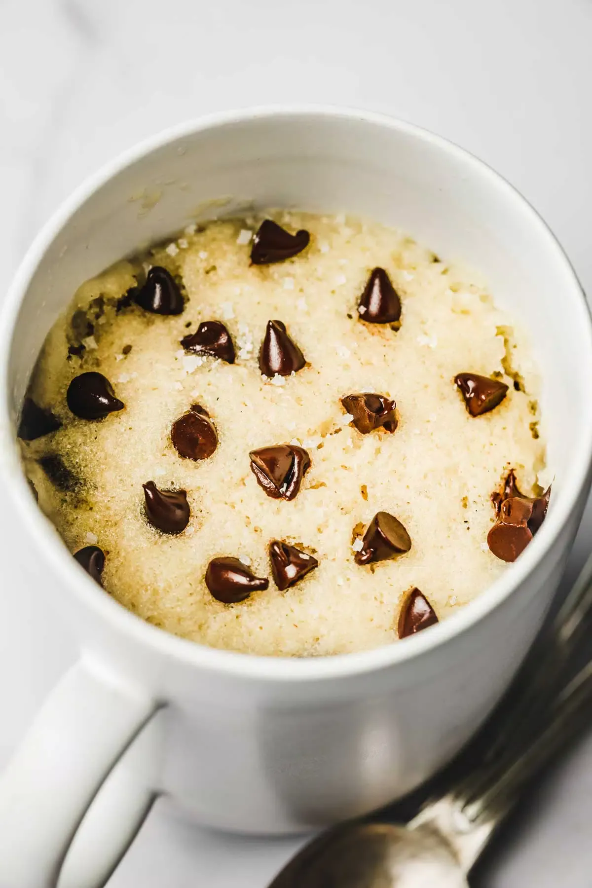 Mug with chocolate chip cake