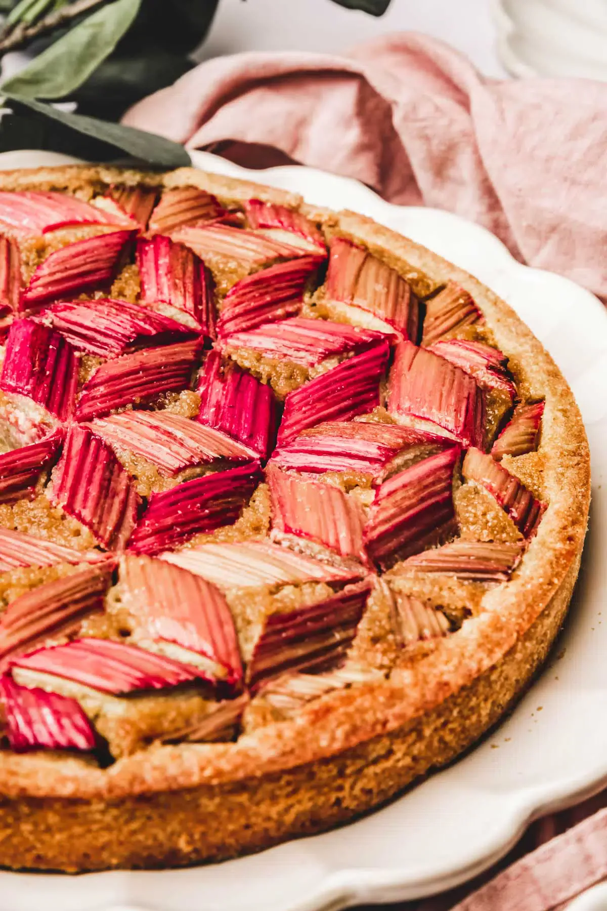 rhubarb tart on a plate