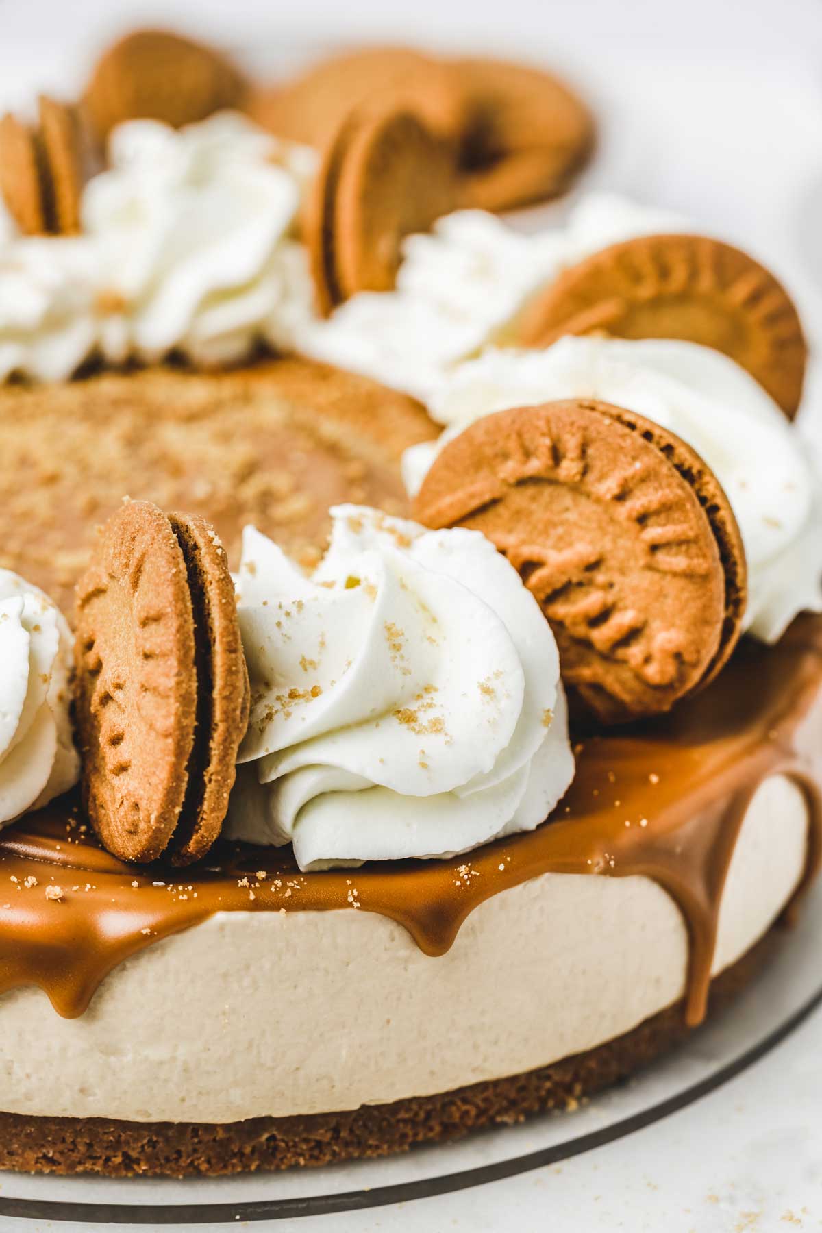 cheesecake speculoos avec glaçage et biscuits lotus