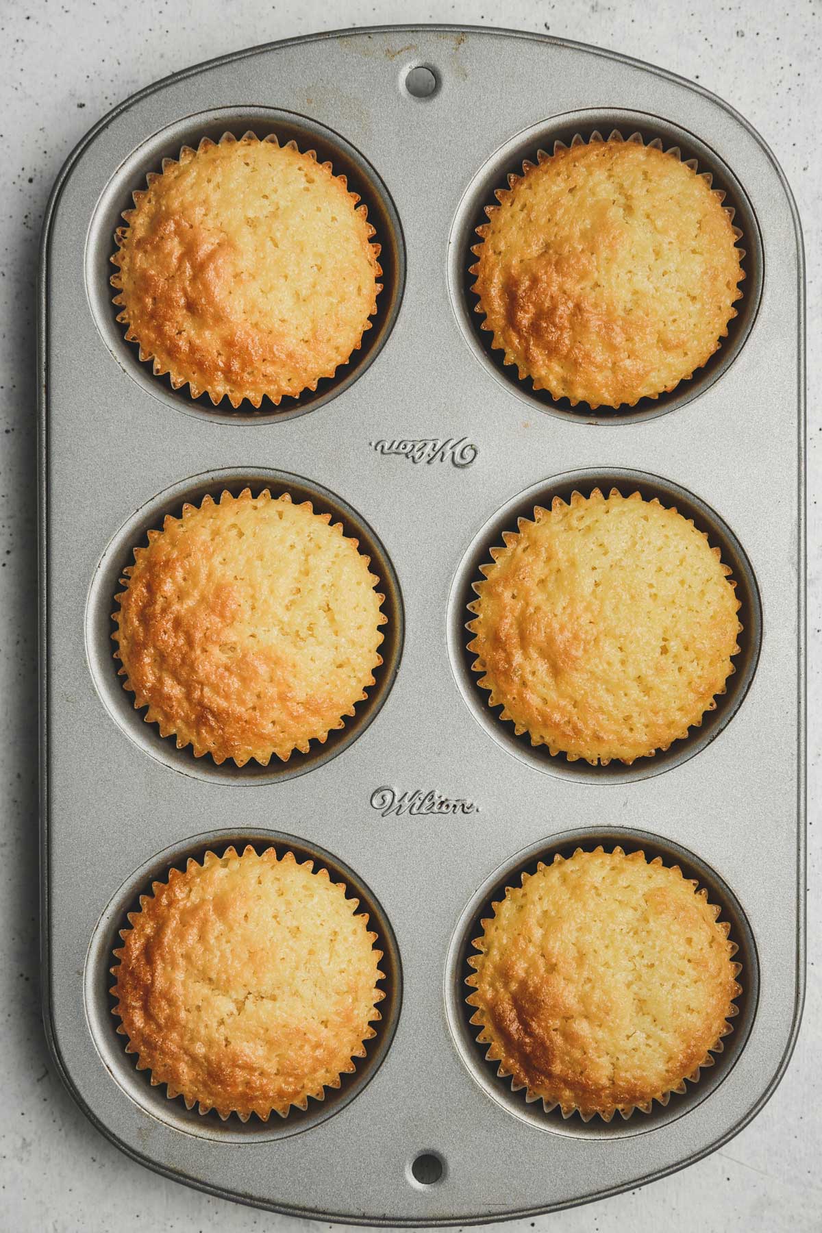 muffin pan with baked vanilla cupcakes