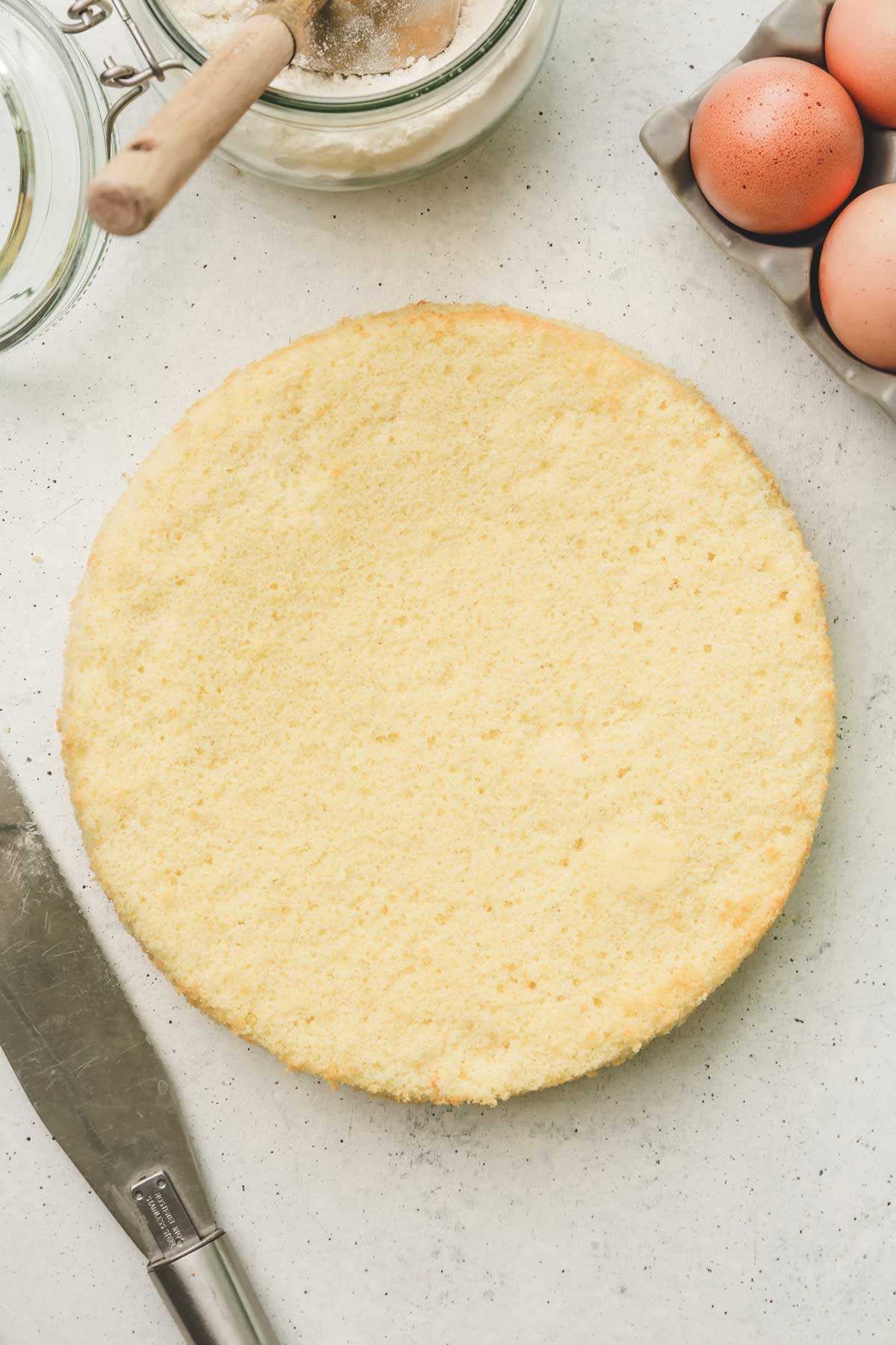 genoise sponge on a table
