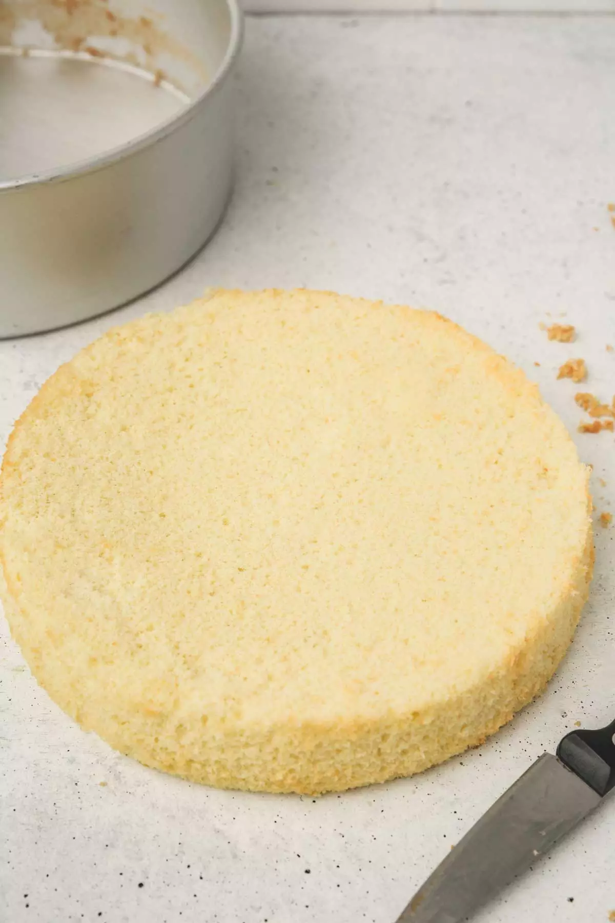 génoise sans croute sur une table
