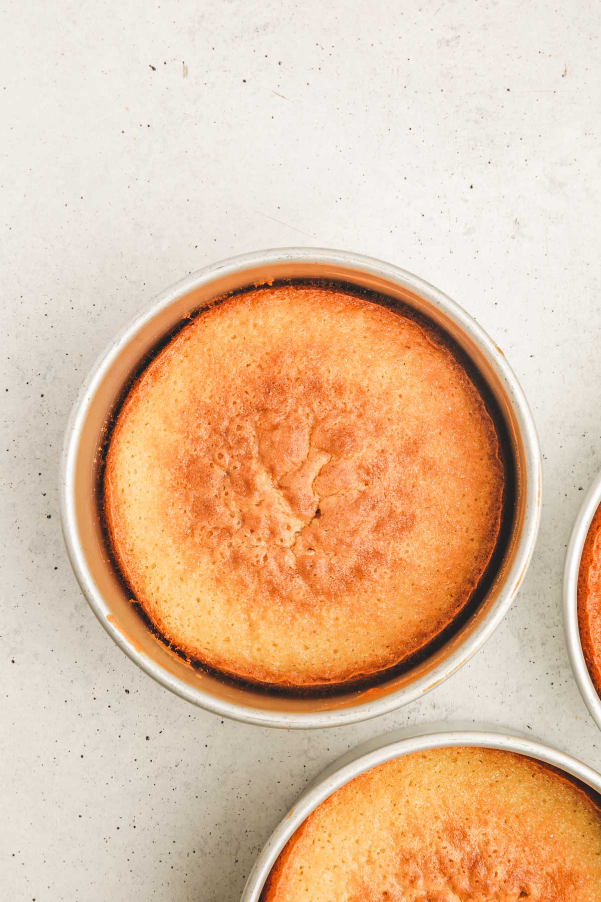 cake pan with baked vanilla cake