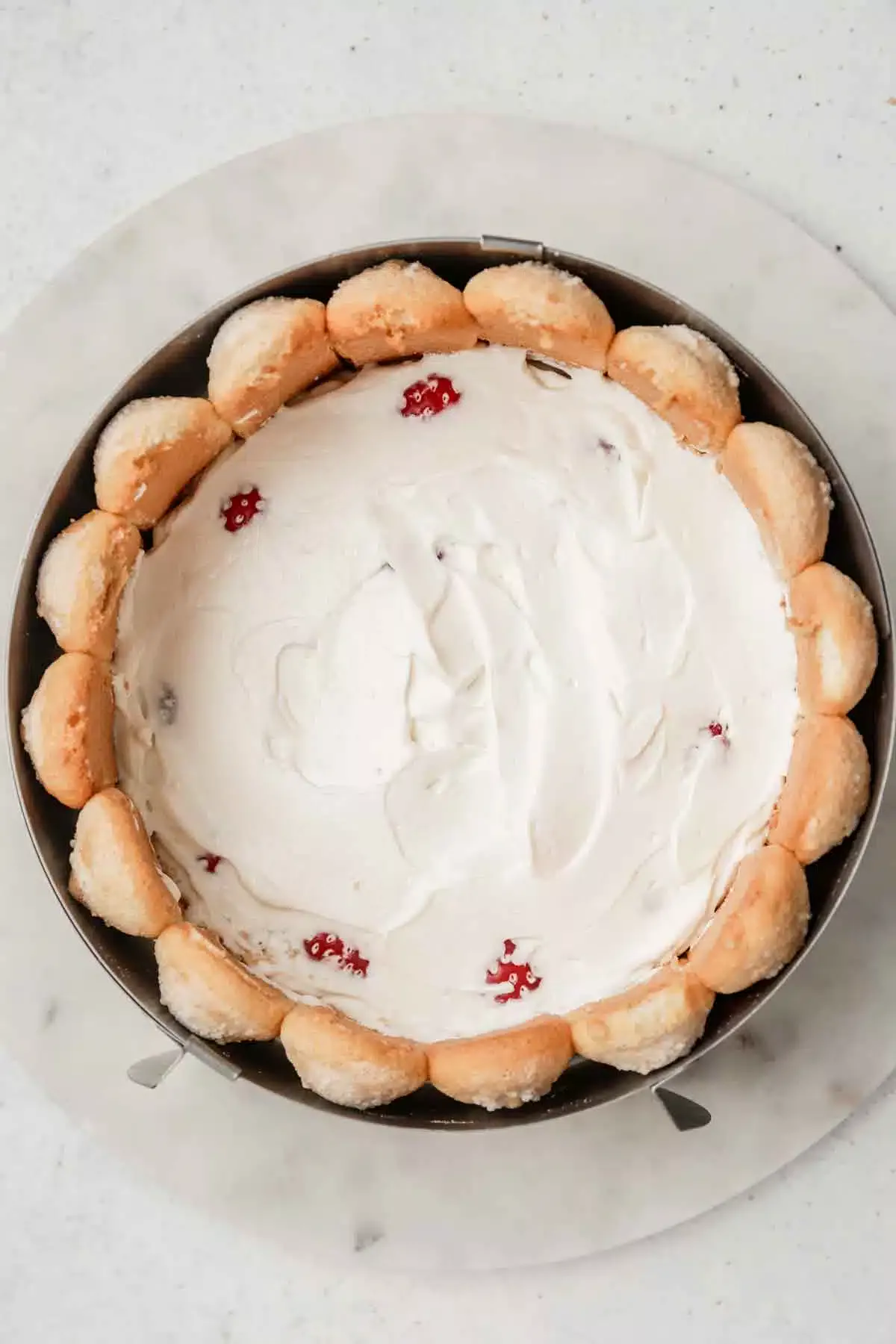 charlotte cake assembled in a pastry ring with strawberries covered with a layer of mascarpone frosting