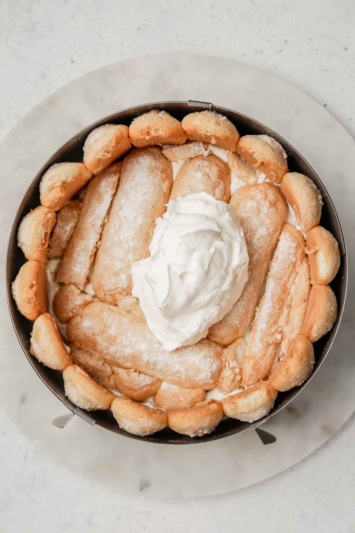 pastry ring with ladyfingers biscuits with mascarpone frosting