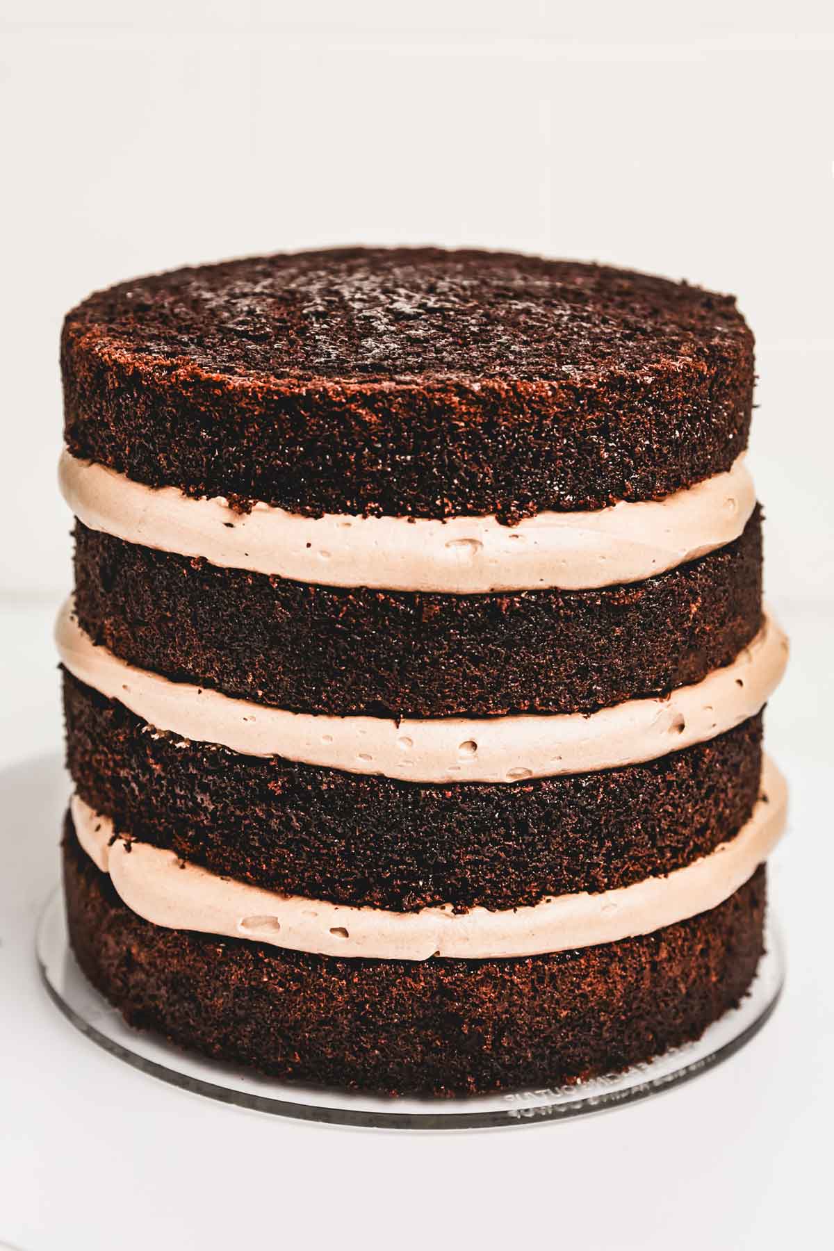 layered chocolate sponge cake 