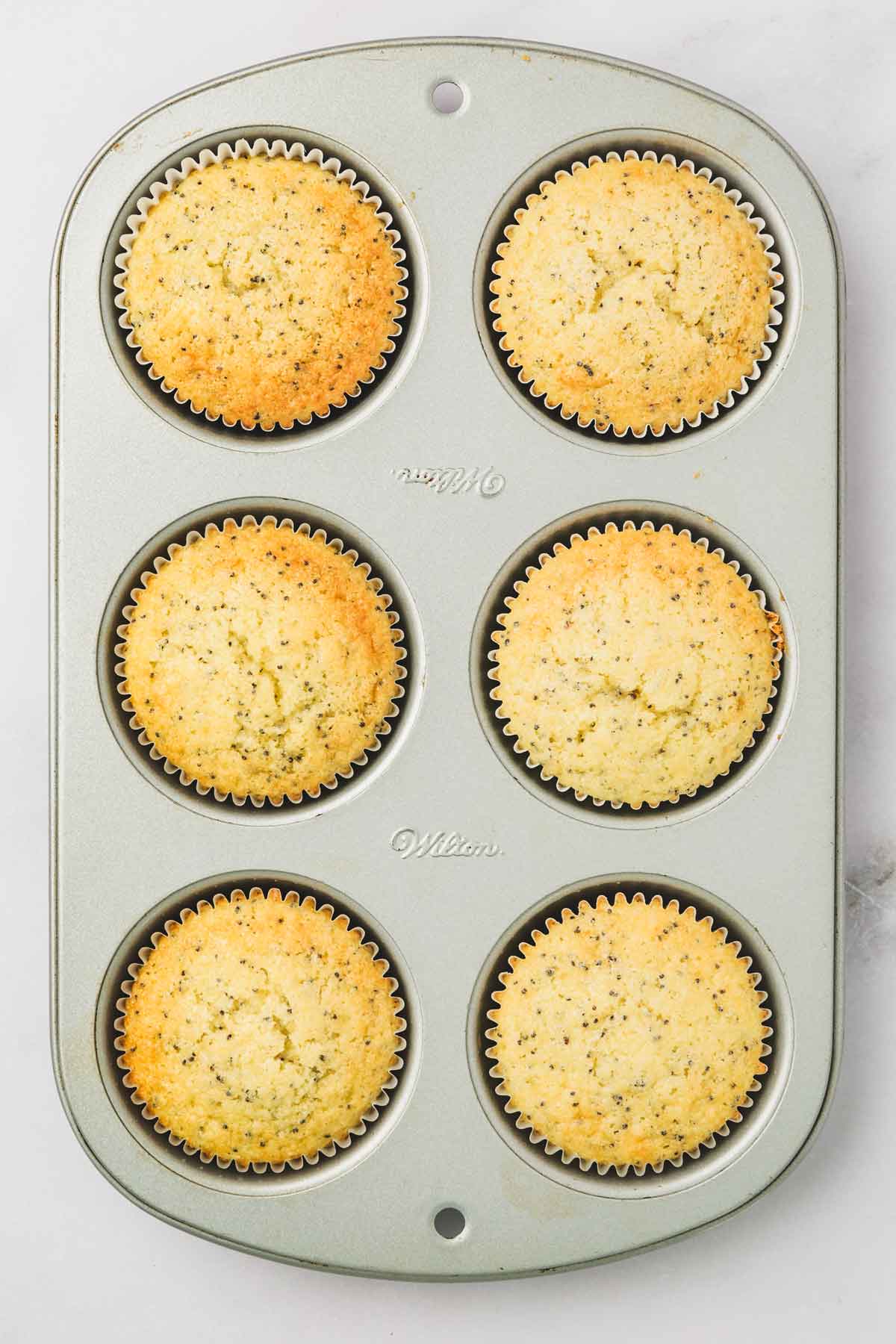 moule avec des cupcakes cuits