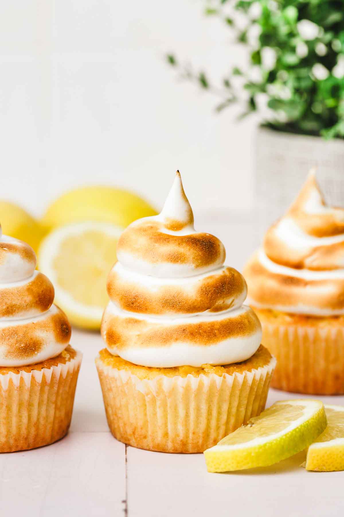 lemon meringue cupcakes with toasted Swiss meringue on a plate