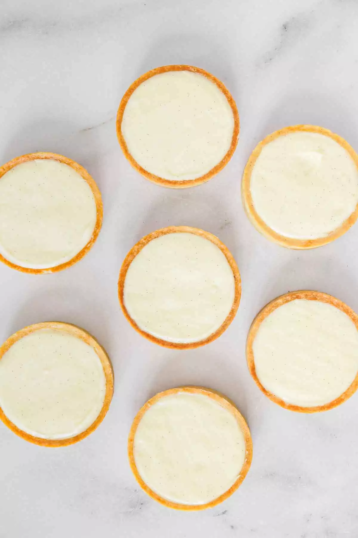 fonds de tartes avec crème pâtissières