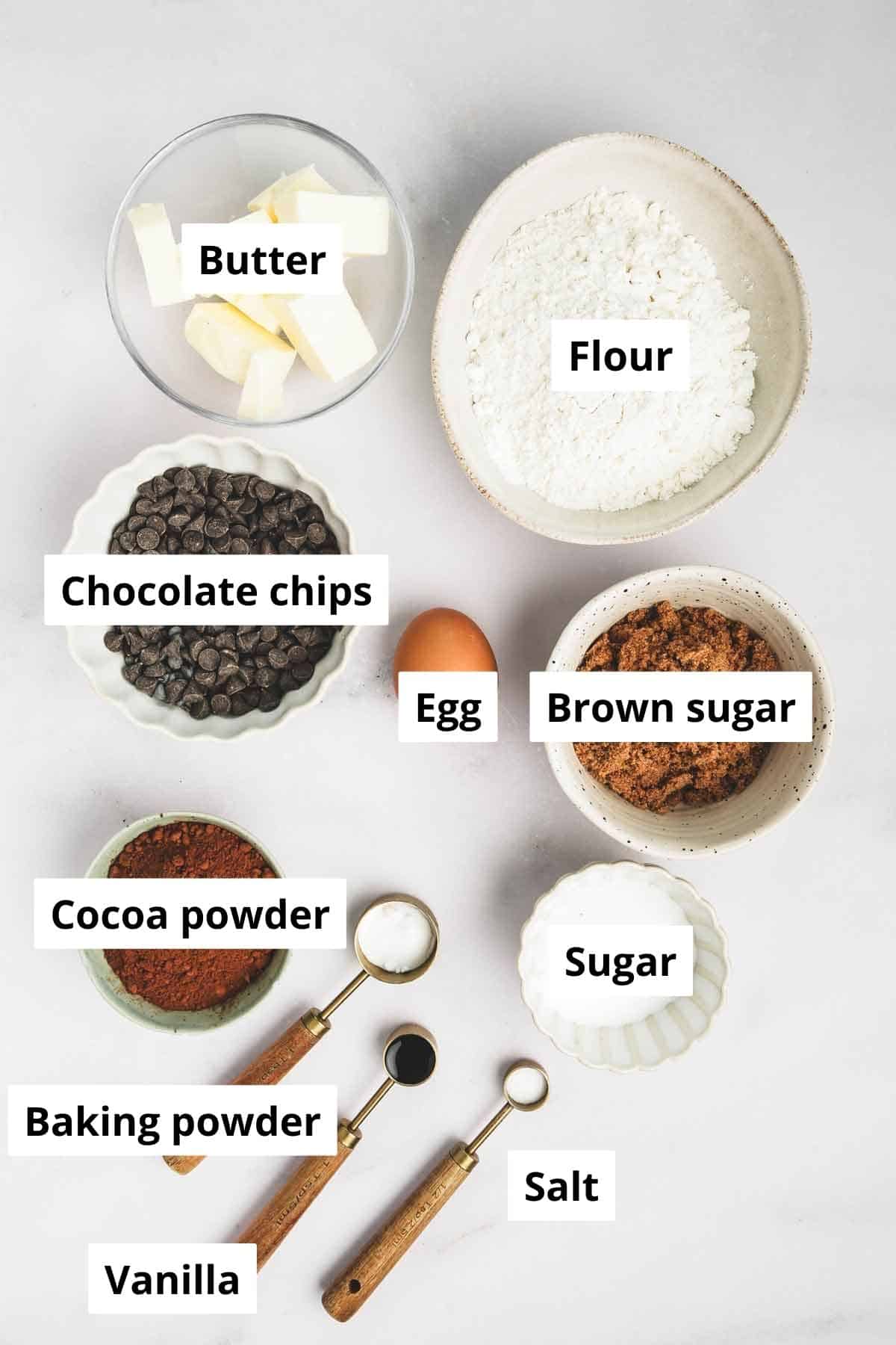 Best Double Chocolate Chip Cookies with Cocoa Powder