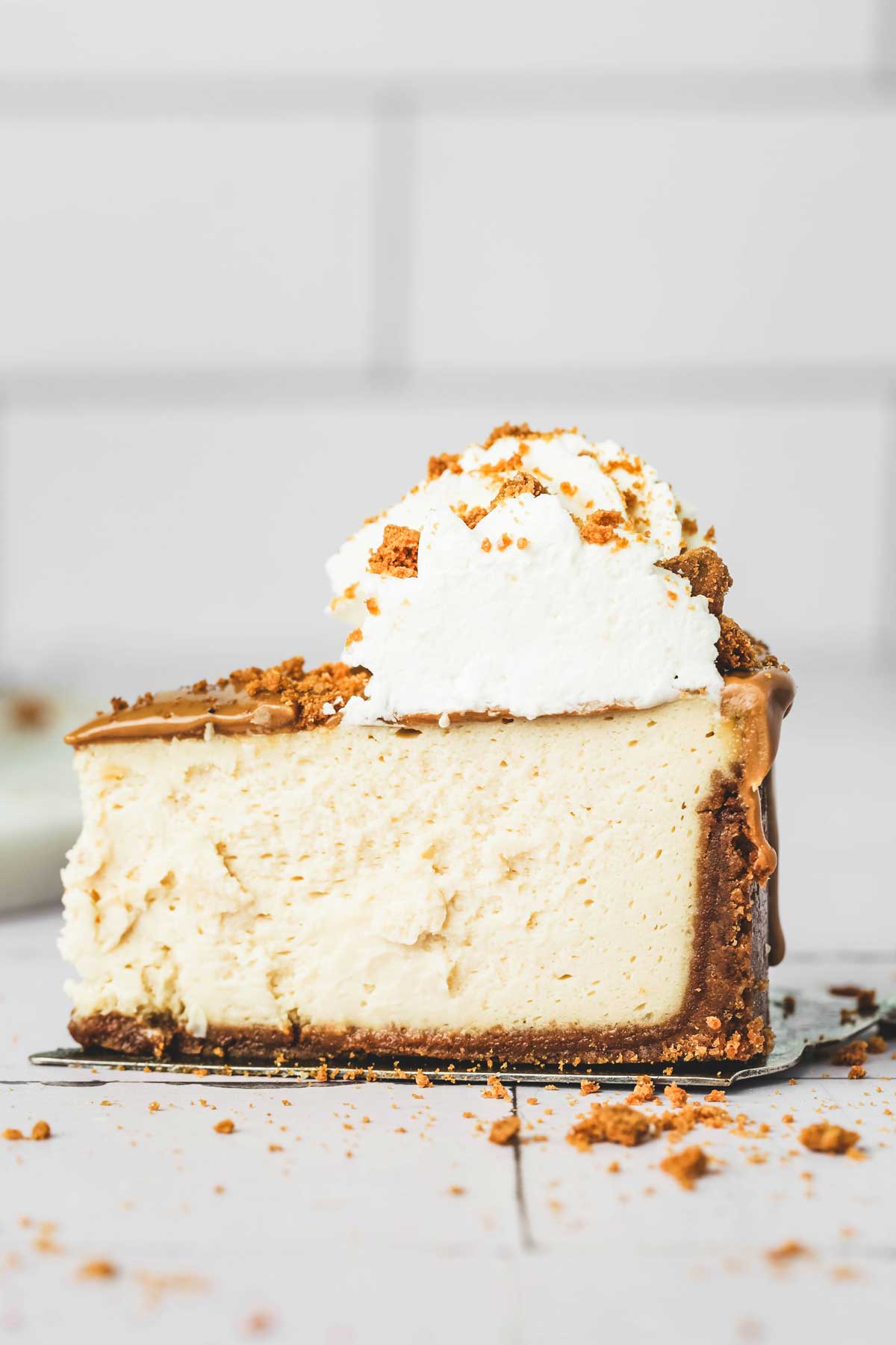 slice of cheesecake with biscoff cookie crust