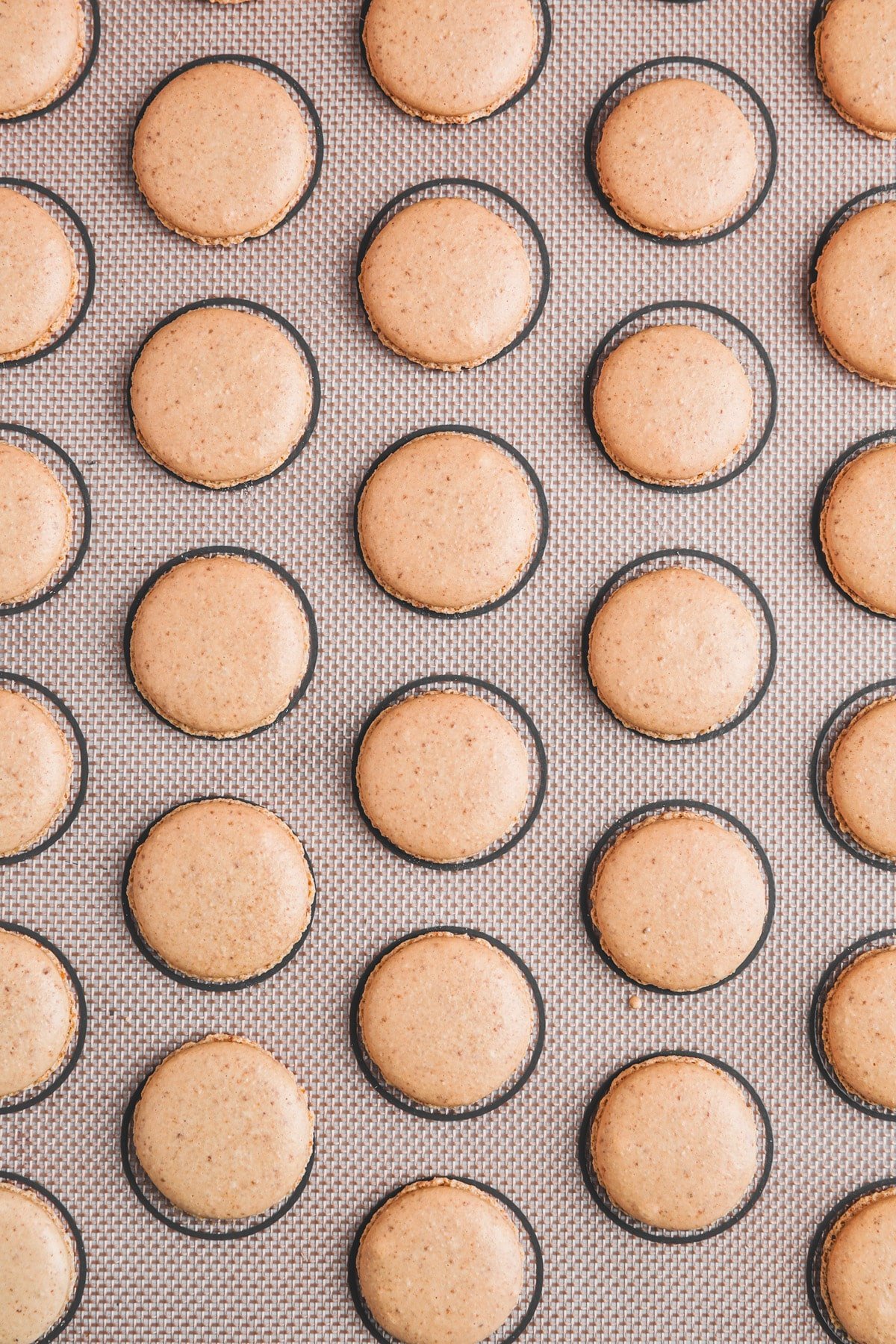 baked biscoff macarons