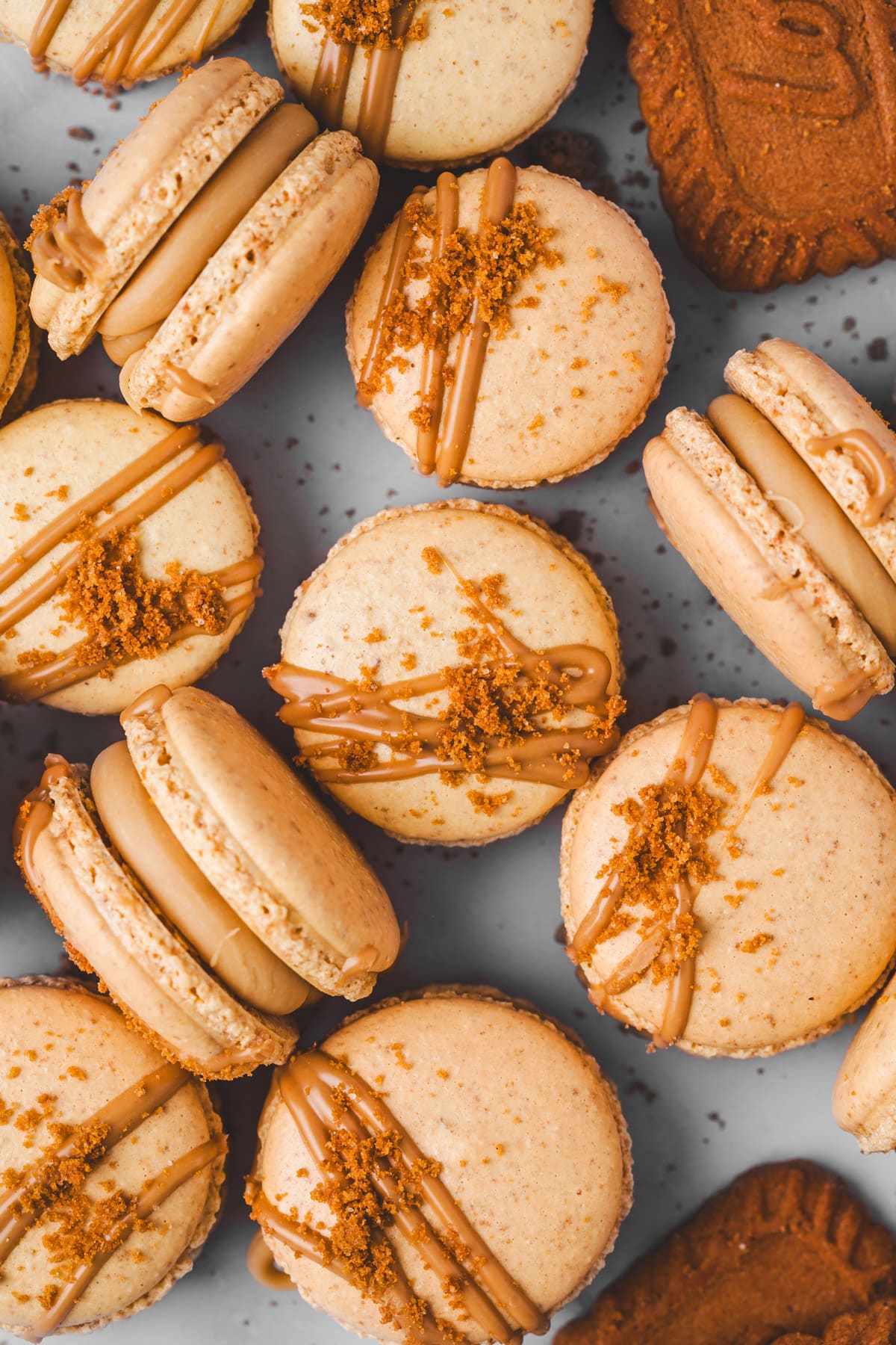 macarons spéculoos sur une table