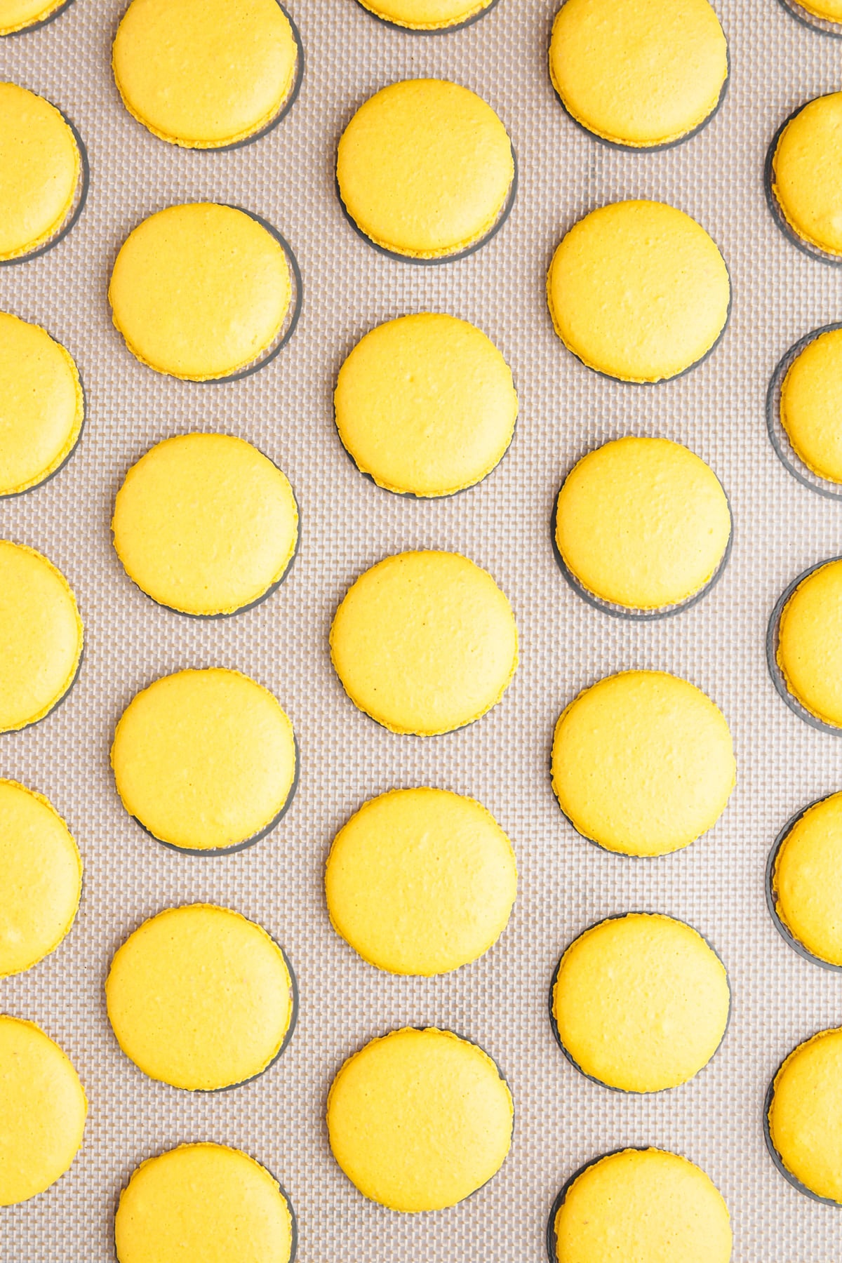 baked lemon curd macarons