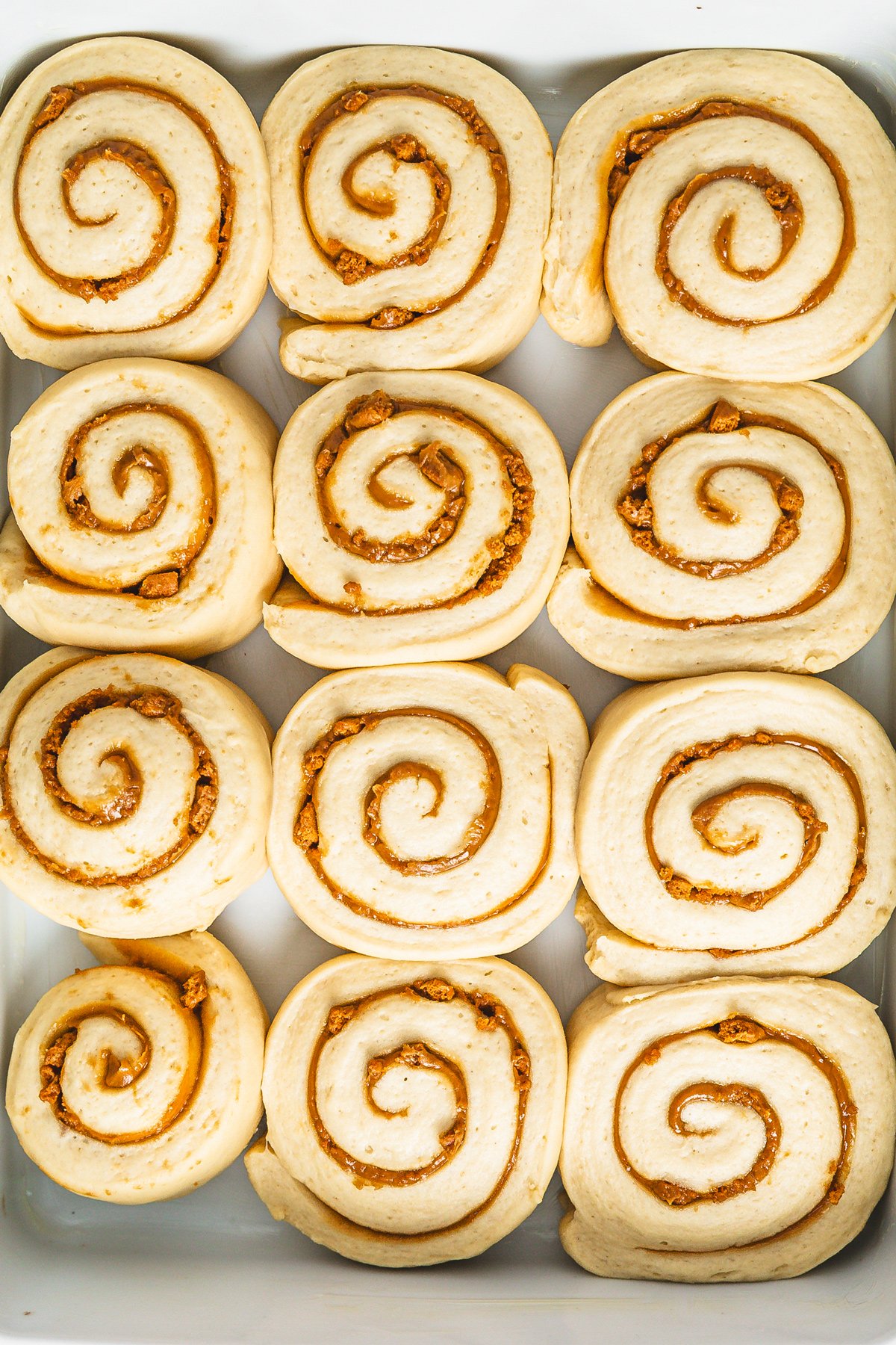 Biscoff cinnamon rolls in a baking dish after the second rise, ready to bake