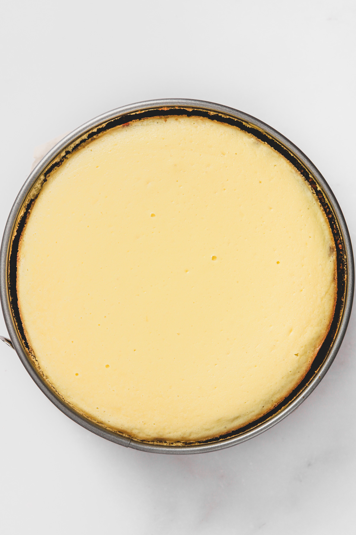 Baked lemon cheesecake in a springform pan cooling before topping