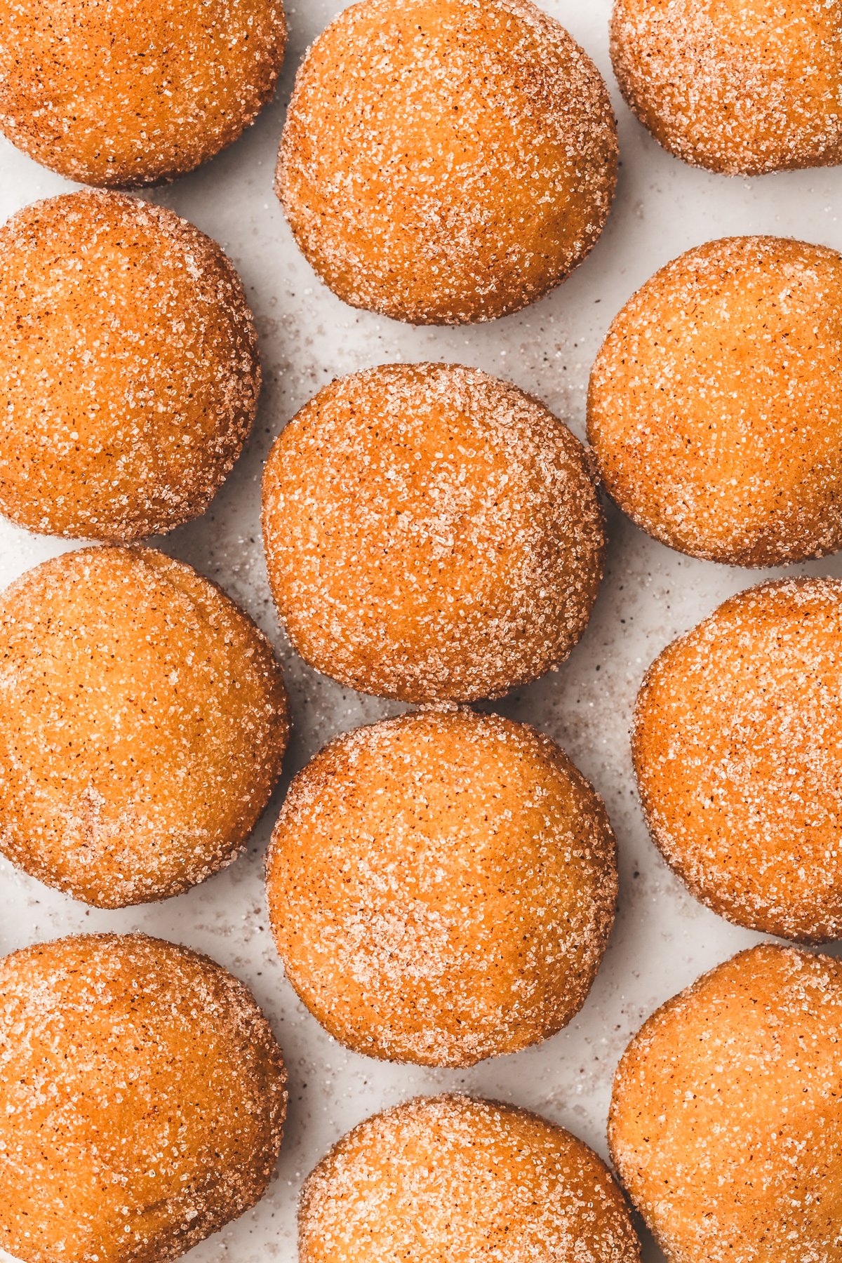 Cookie dough balls rolled in cinnamon sugar