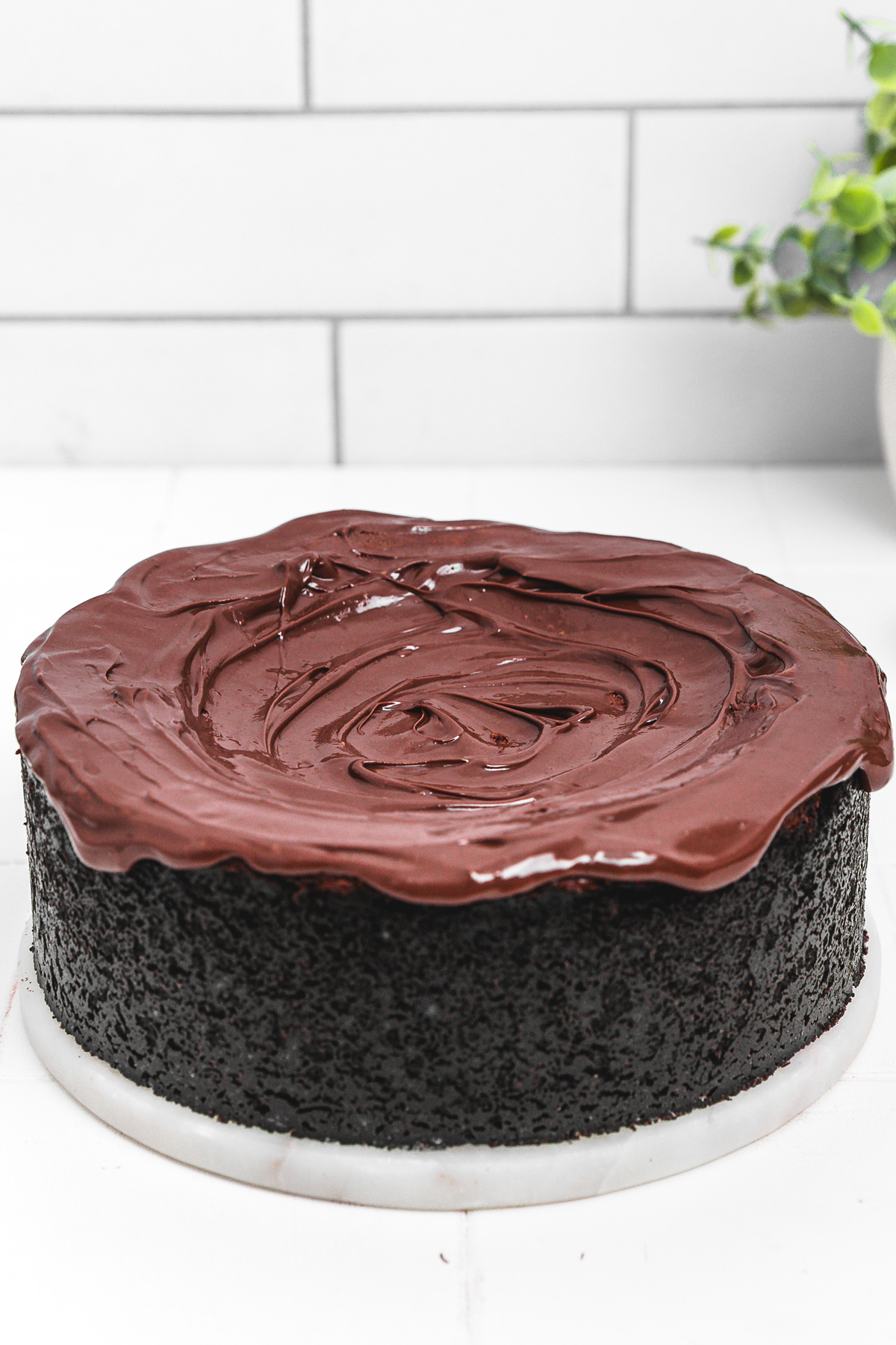 Nutella cheesecake topped with a layer of Nutella