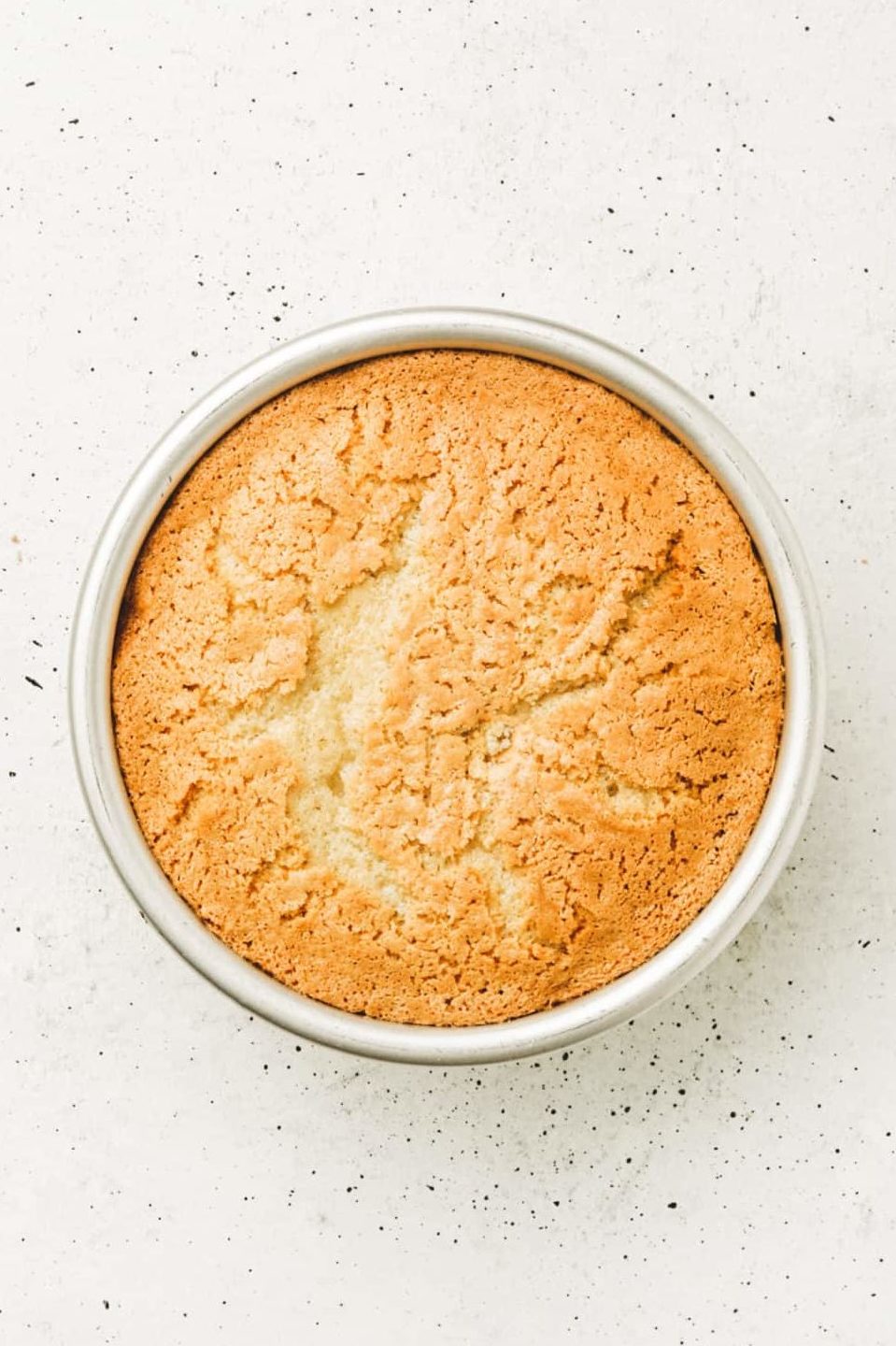  Baked vanilla molly cake in a cake pan