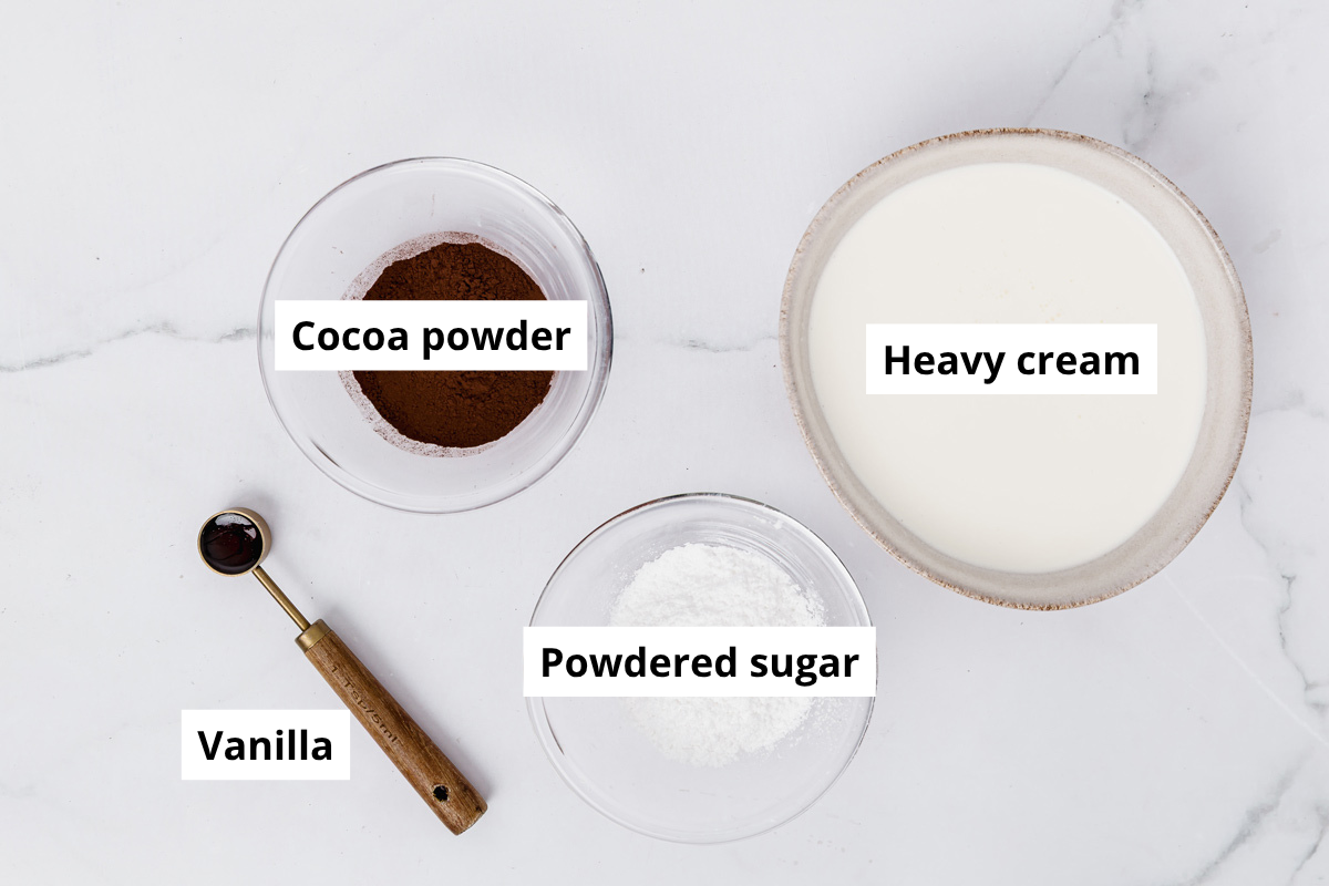 Heavy cream, cocoa powder, powdered sugar and vanilla for chocolate whipped cream
